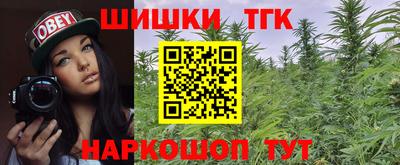 МДПВ Владикавказ