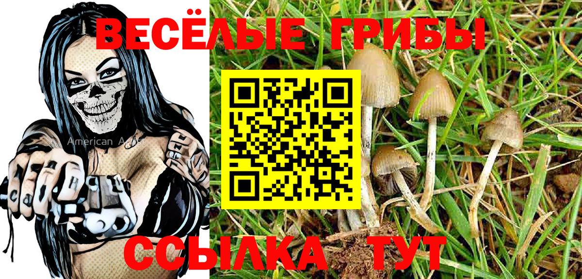 Галлюциногенные грибы Psilocybine cubensis Ижевск